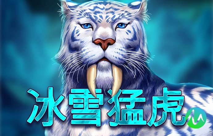 赛酷体育平台官网