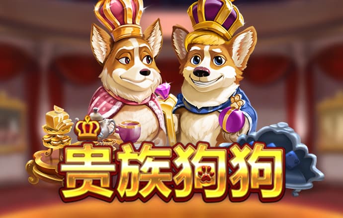 944cc天下彩线路入口使用方法